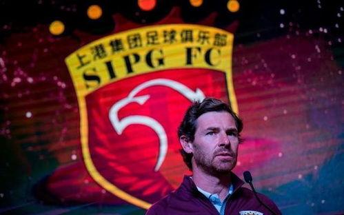 最新爆料天选球星是谁,最新爆料,天选球星究竟花落谁家?